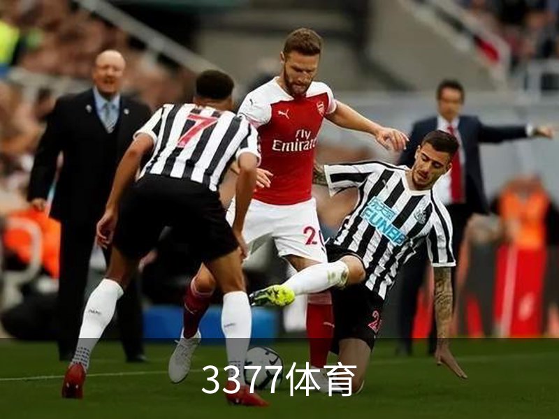 3377体育介绍